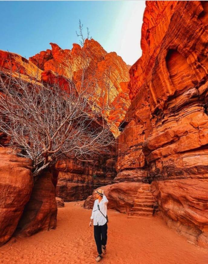Apartmán Saleem With Jeep Tour Wadi Rum Exteriér fotografie