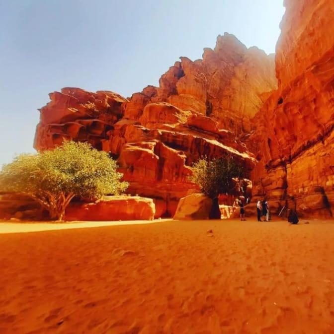 Apartmán Saleem With Jeep Tour Wadi Rum Exteriér fotografie